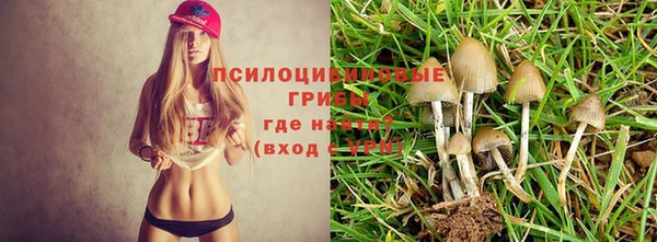 apvp Абдулино