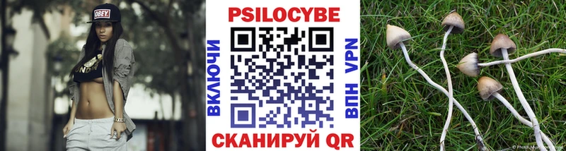 где купить наркоту  Абаза  Псилоцибиновые грибы Magic Shrooms 